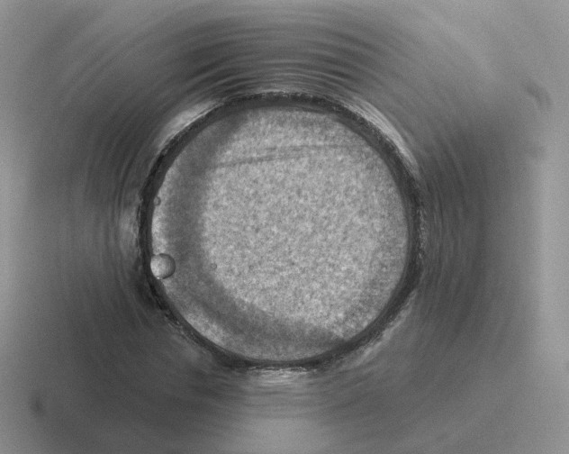 X0000116550826201001071114