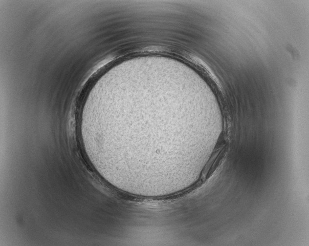 X0000116550827201001071114