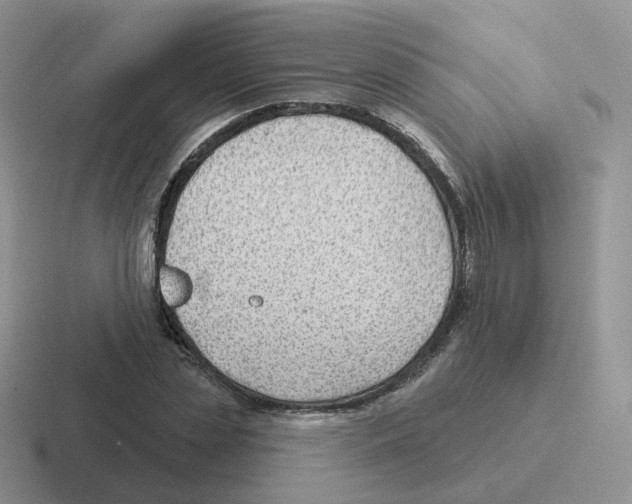 X0000116550829201001071114