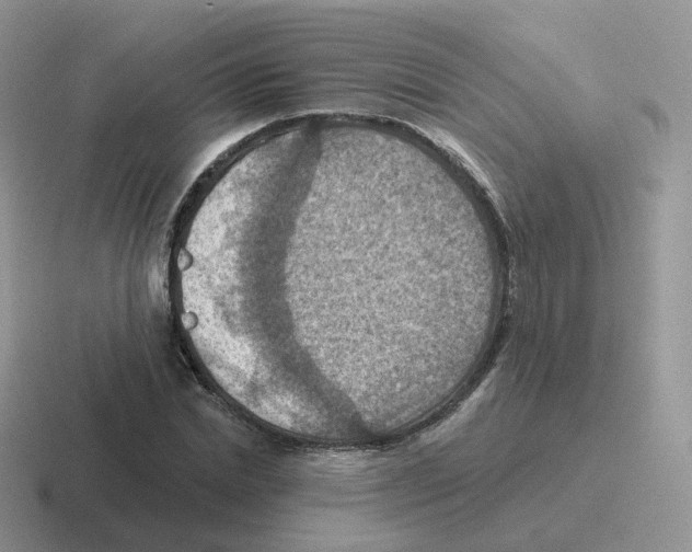 X0000116550830201001071114