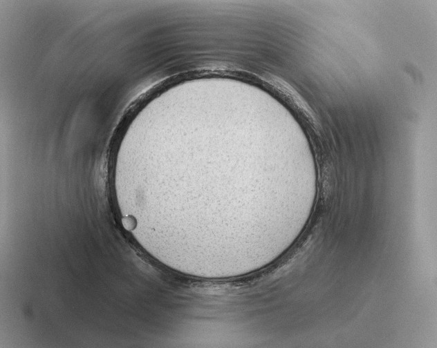 X0000116550831201001071114