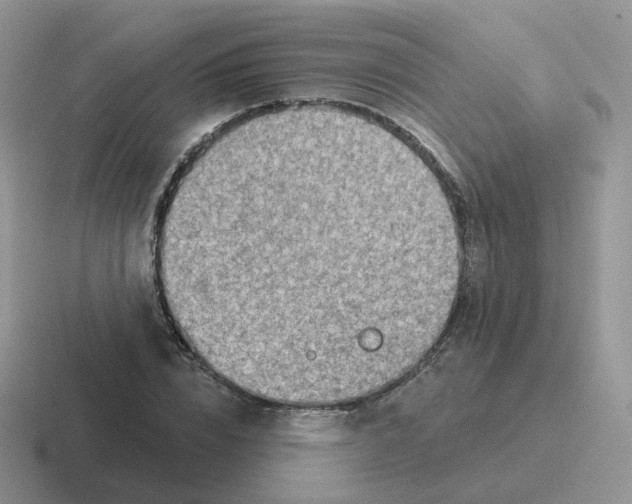 X0000116550832201001071114