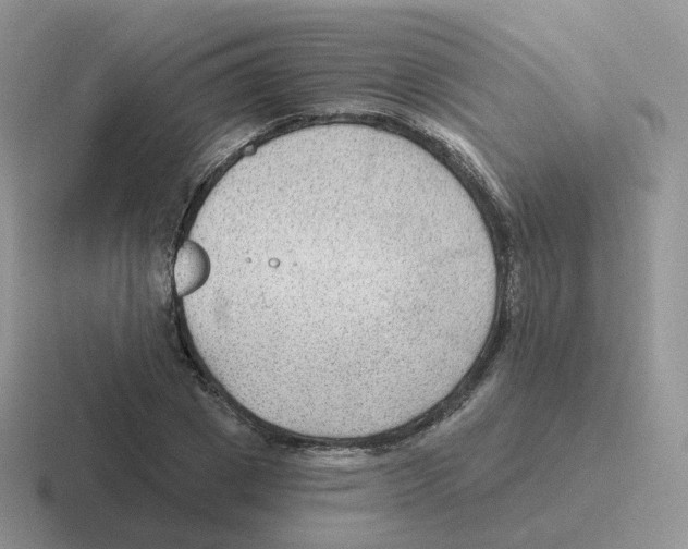 X0000116550833201001071114