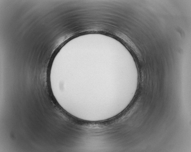 X0000116550834201001071114