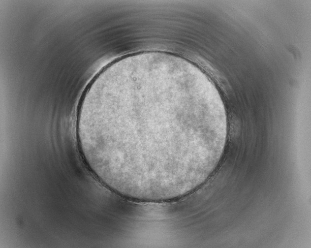 X0000116550836201001071114