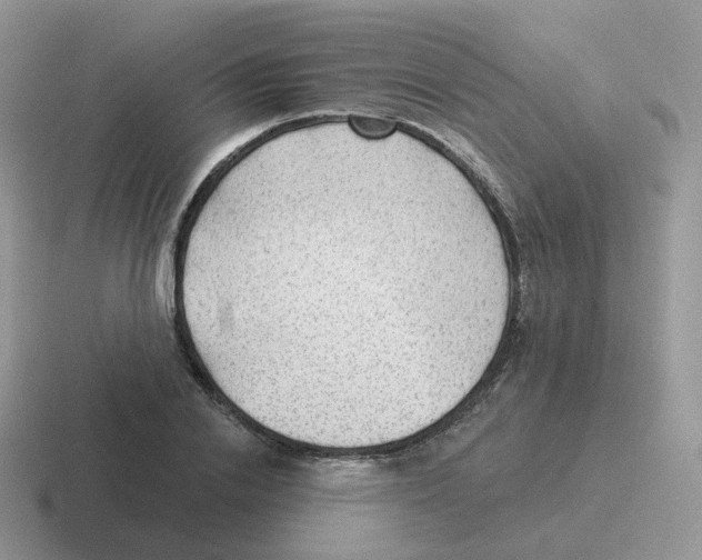 X0000116550838201001071114