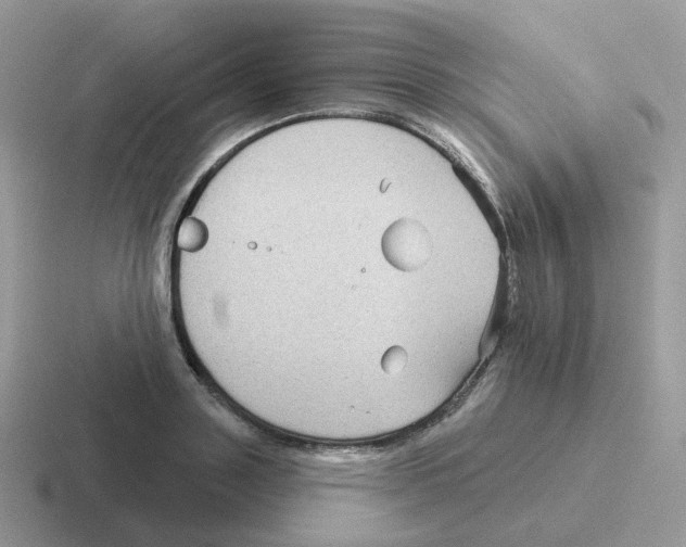 X0000116550843201001071114