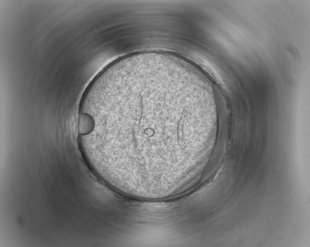 X0000116550844201001071114