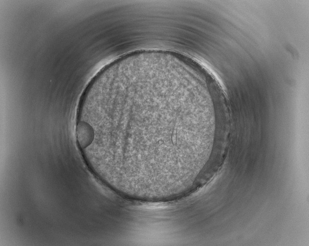 X0000116550845201001071114