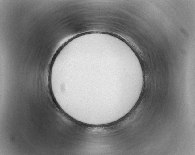 X0000116550846201001071114