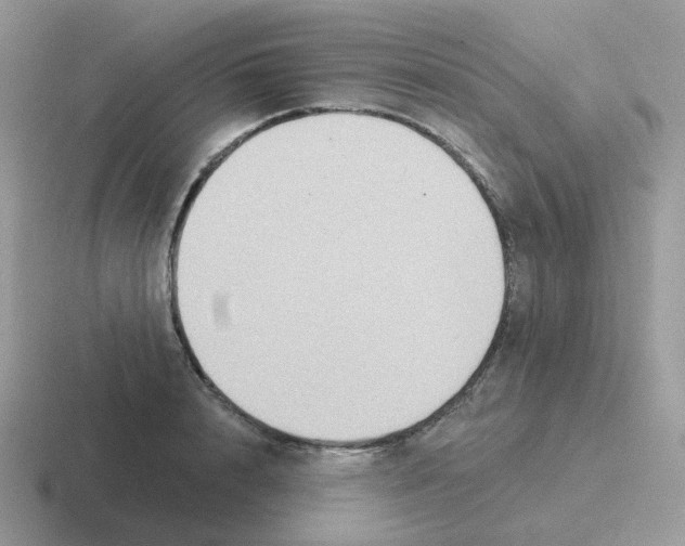 X0000116550848201001071114