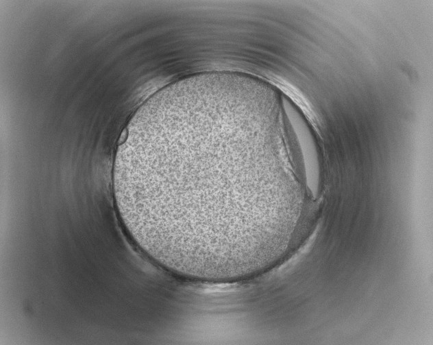 X0000116550849201001071114