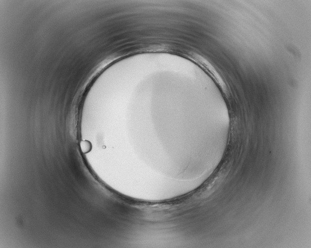 X0000116550851201001071114