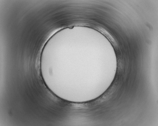 X0000116550852201001071114