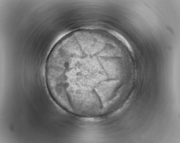 X0000116550855201001071114