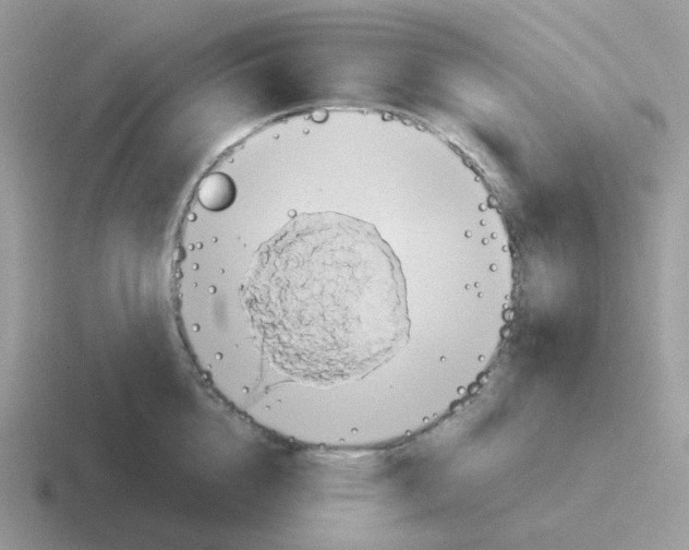 X0000116550856201001071114