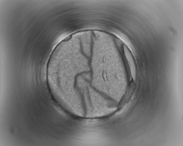 X0000116550858201001071114