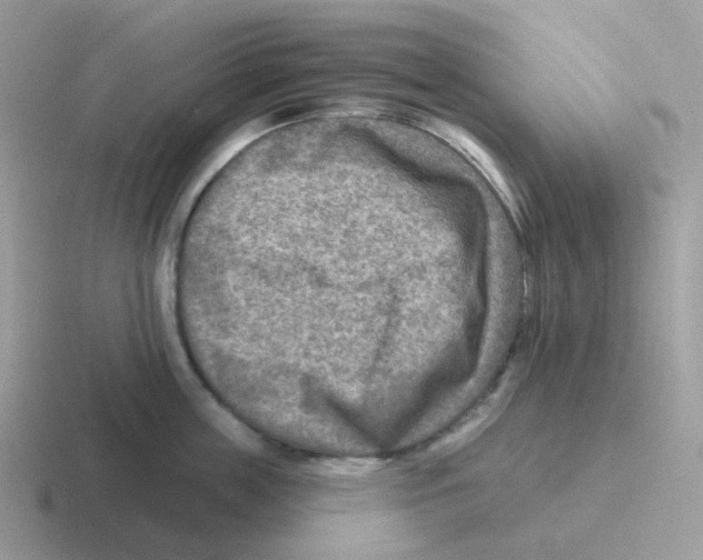 X0000116550859201001071114