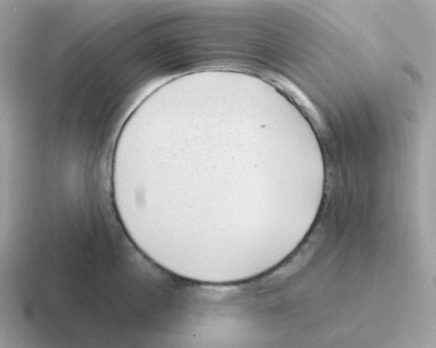 X0000116550860201001071114