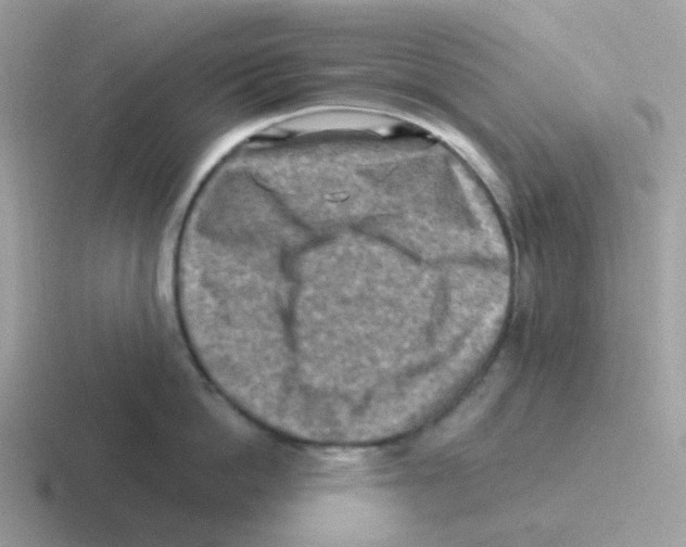 X0000116550862201001071114