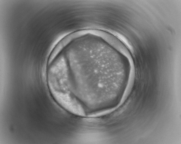 X0000116550863201001071114