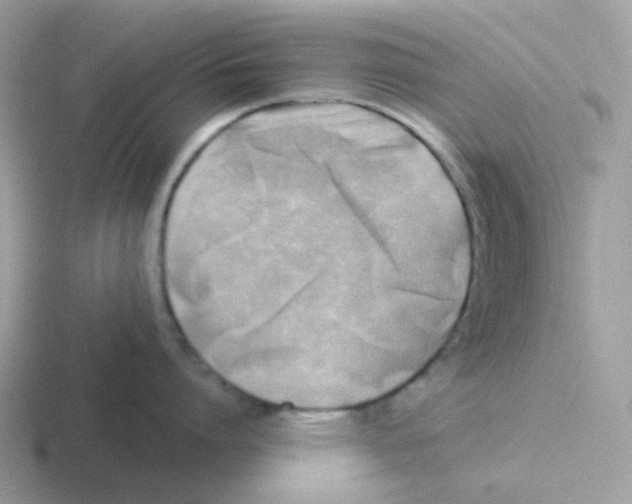 X0000116550864201001071114