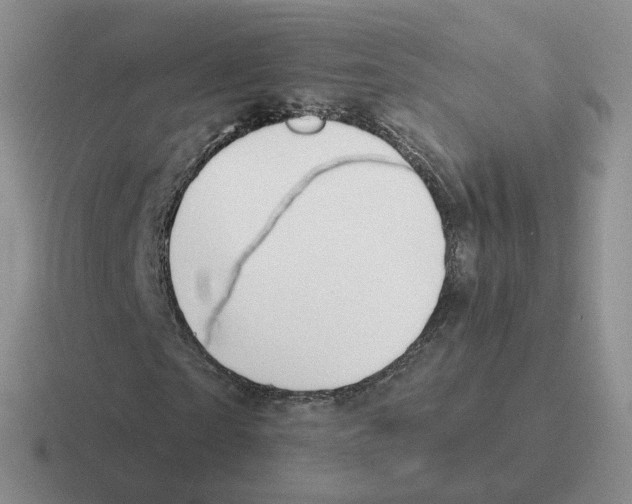 X0000116550865201001071114