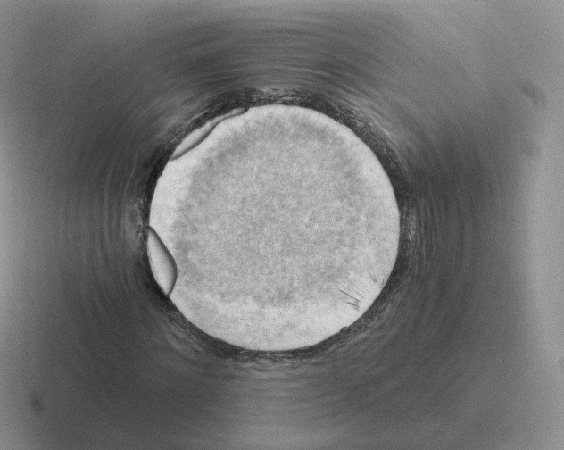 X0000116550868201001071114