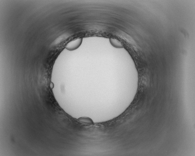 X0000116550869201001071114