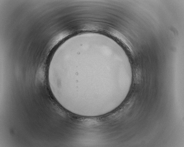 X0000116550874201001071114