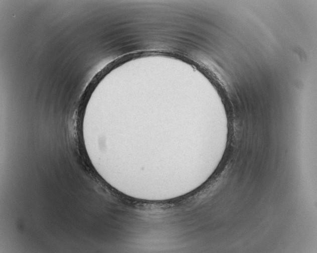 X0000116550875201001071114