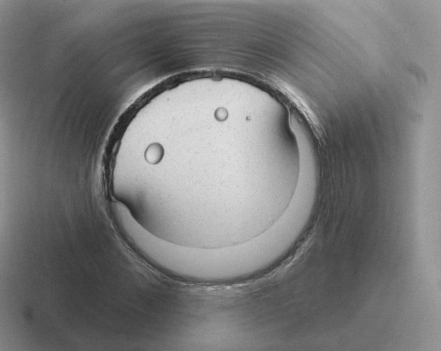 X0000116550876201001071114