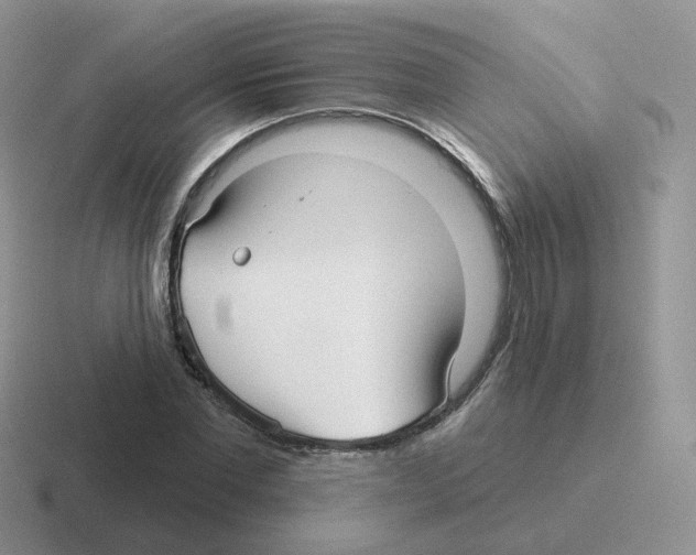 X0000116550877201001071114