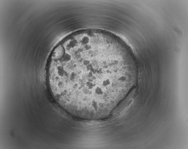 X0000116550879201001071114