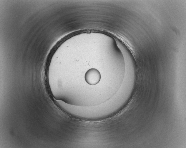 X0000116550880201001071114