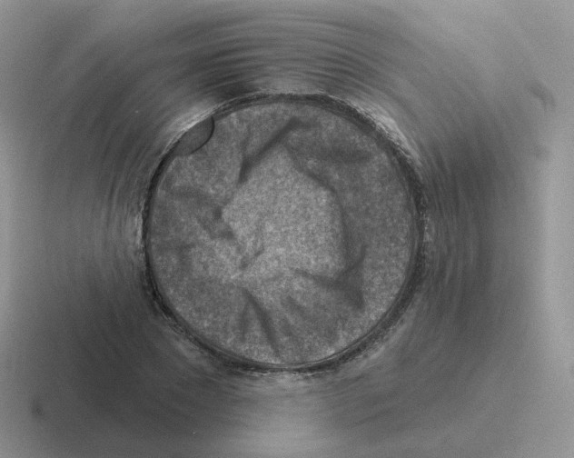 X0000116550881201001071114