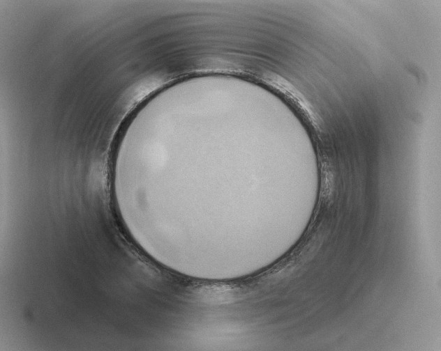 X0000116550882201001071114