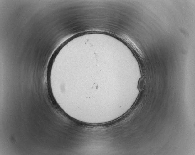 X0000116550884201001071114