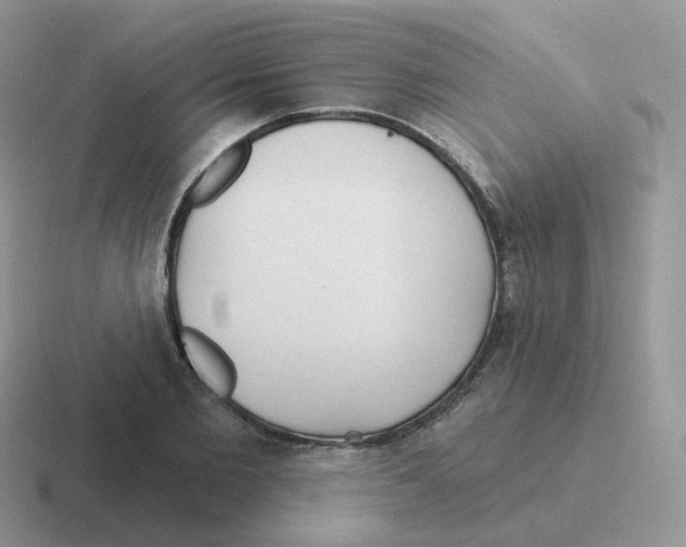 X0000116550885201001071114