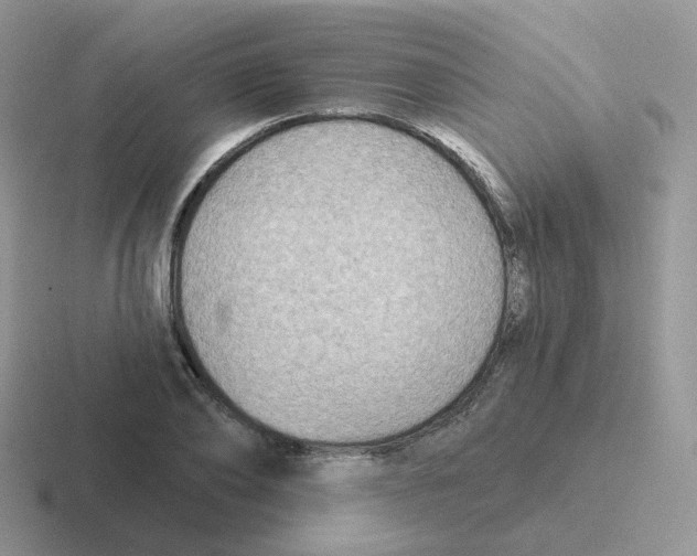 X0000116550886201001071114