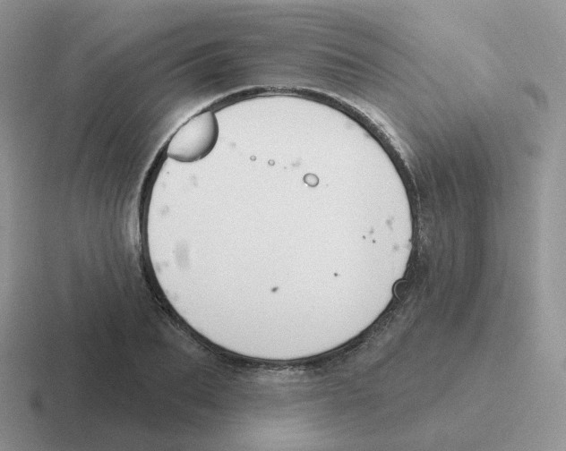 X0000116550887201001071114