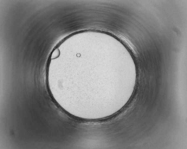 X0000116550888201001071114