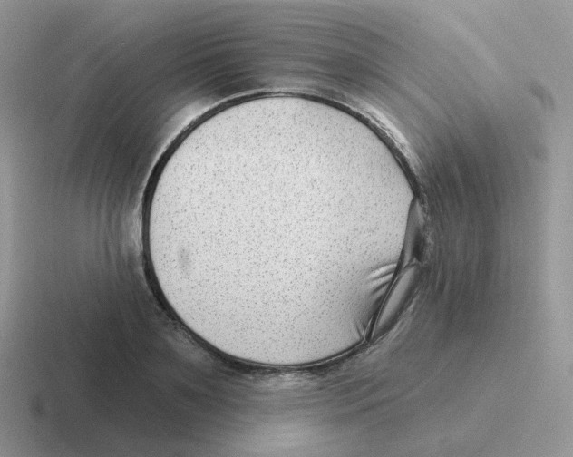 X0000116550891201001071113