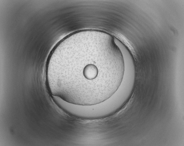 X0000116550892201001071113