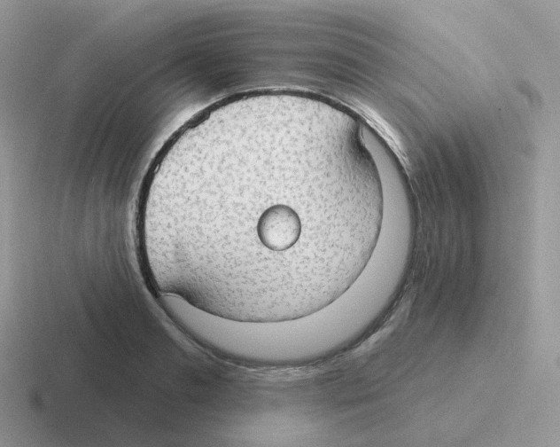 X0000116550893201001071113