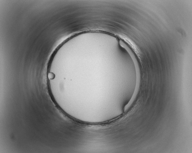 X0000116550894201001071113