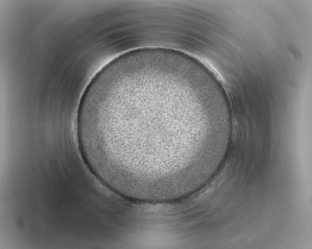 X0000116550895201001071113