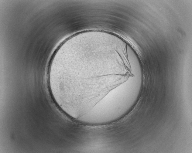 X0000116550896201001071113