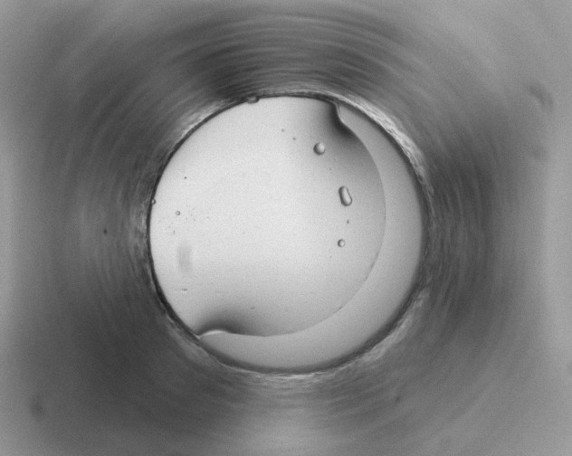 X0000116550897201001071113