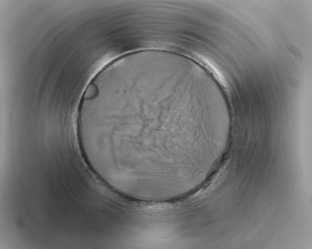 X0000116550899201001071113